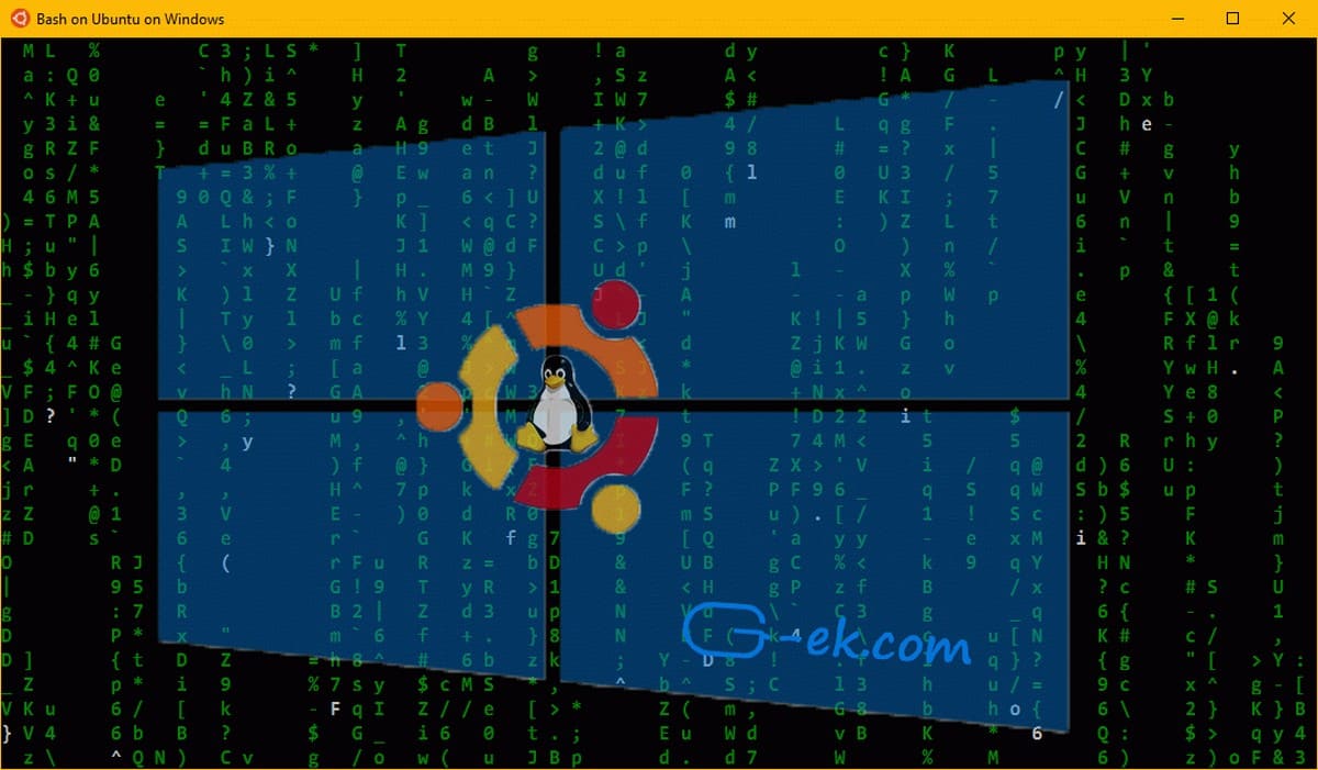 Как запускать приложения Linux с графическим интерфейсом пользователя в Windows 10