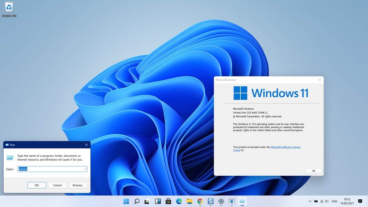 Windows 11