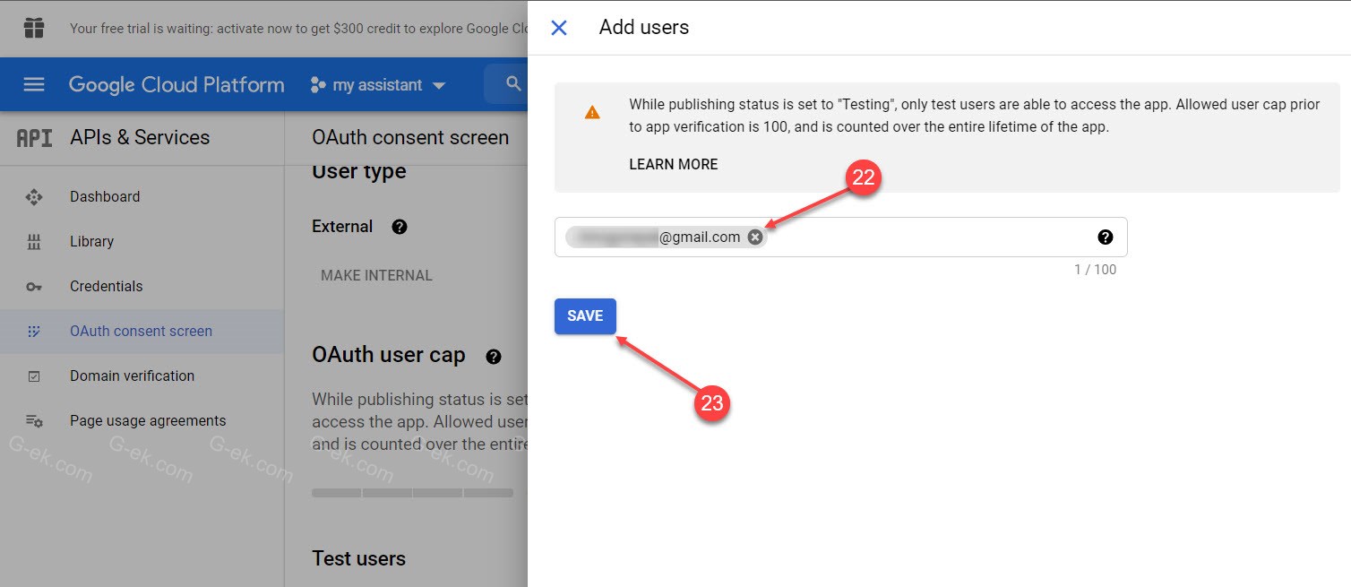 Во всплывающем окне в разделе «ADD USERS» введите адрес электронной почты учетной записи Gmail, которую вы будете использовать для подключения к ассистенту