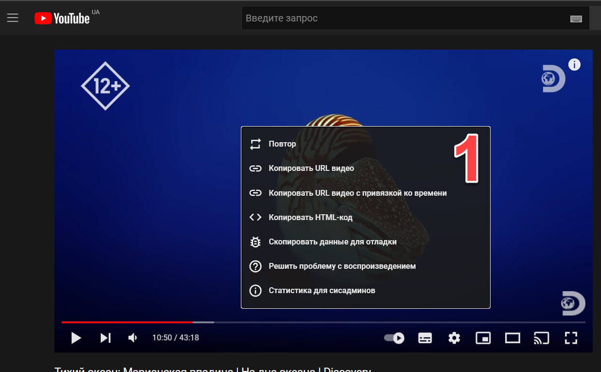 Просмотр видео YouTube в режиме «Картинка в картинке» в Chrome и Microsoft Edge