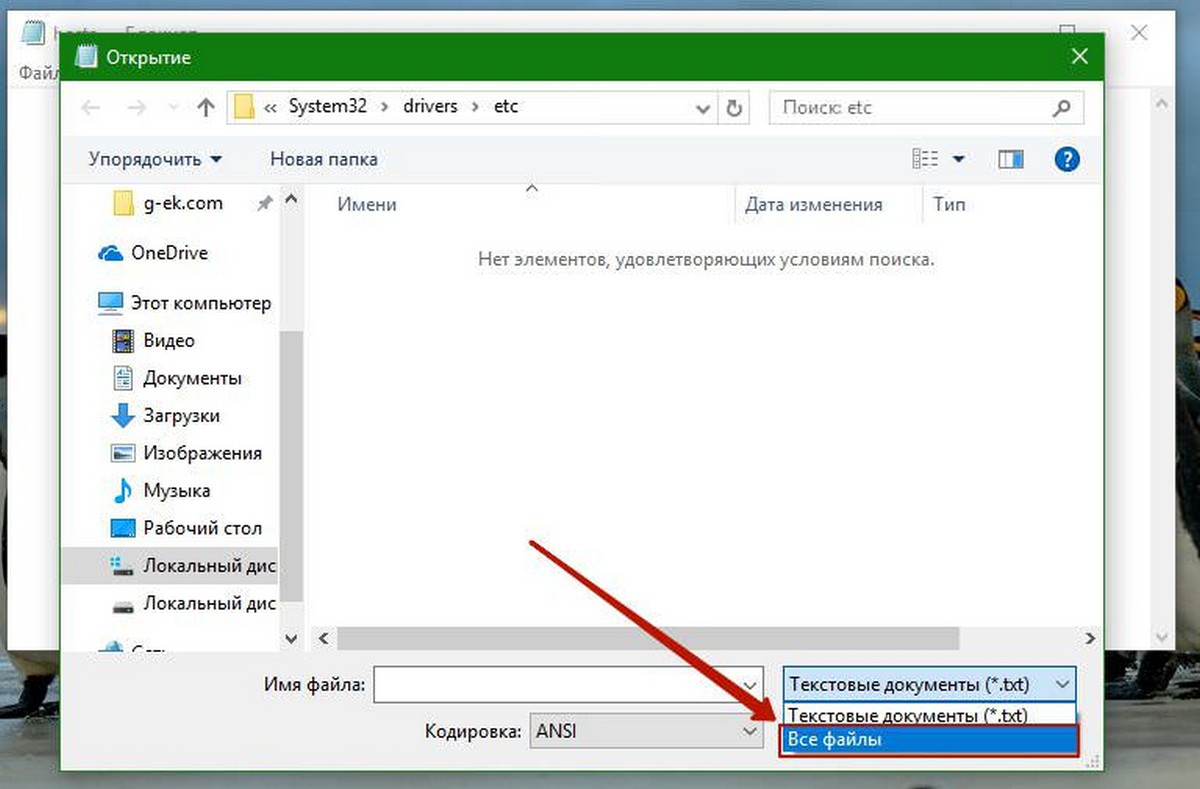 Windows 10 host