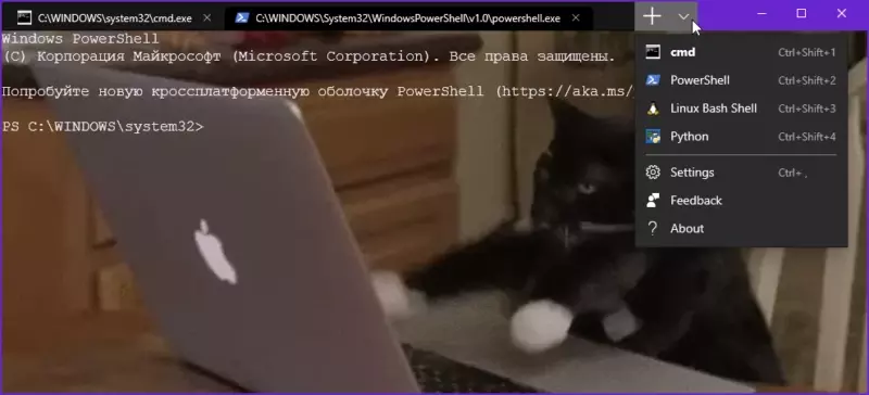 Как изменить фон Windows Terminal
