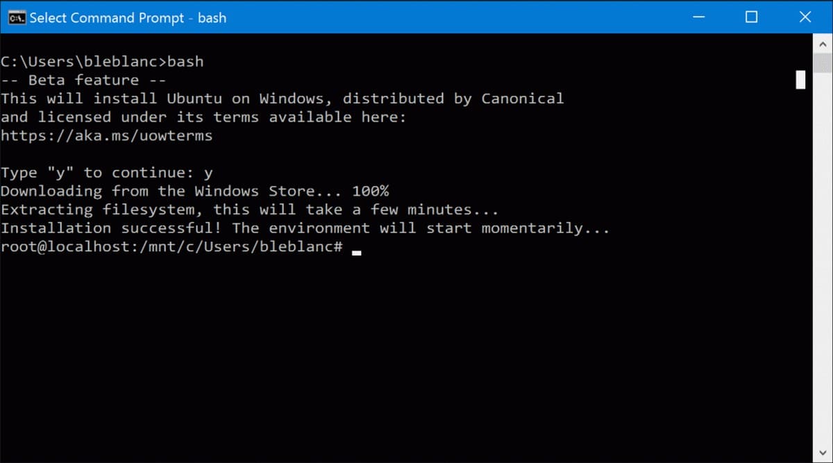 Bash в ОС Windows