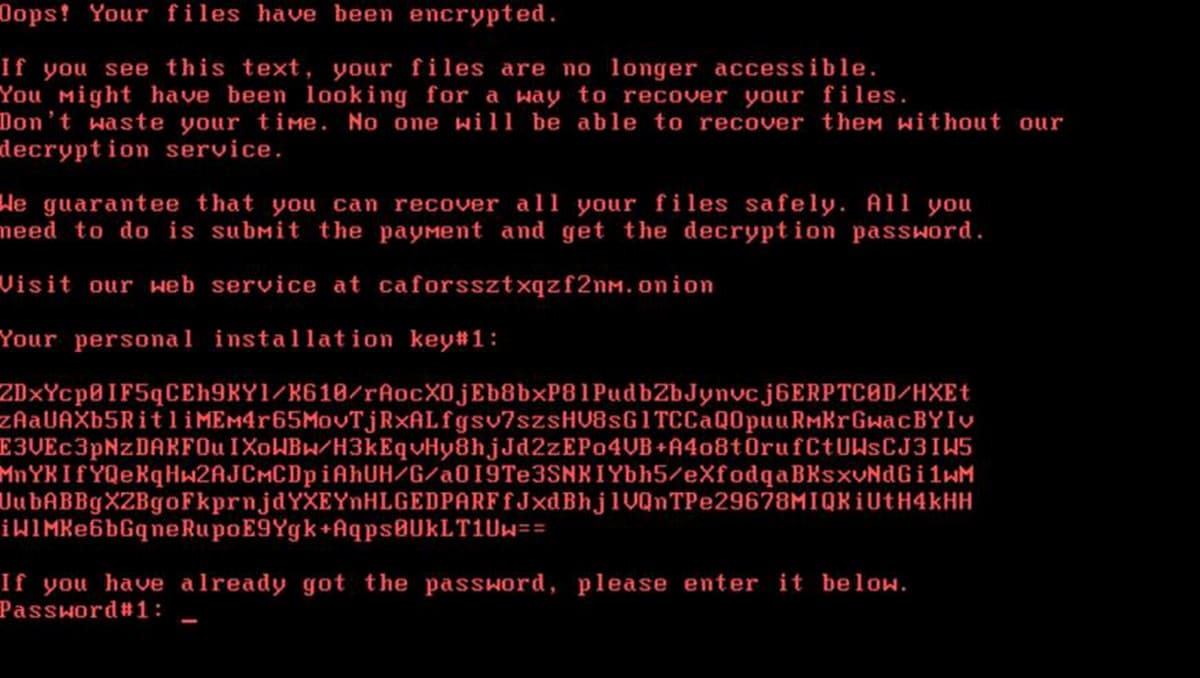Как защитить свой пк с Windows 10 от заражения Bad Rabbit.