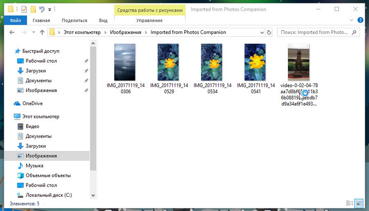 Imported from Photos Companion