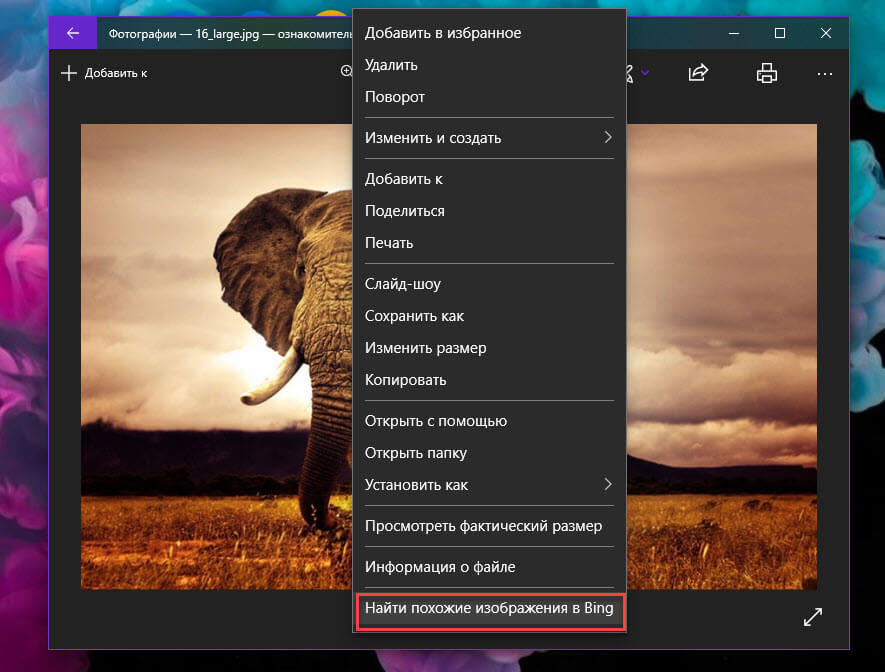 приложение «Фотографии» Найти похожие изображения в Bing