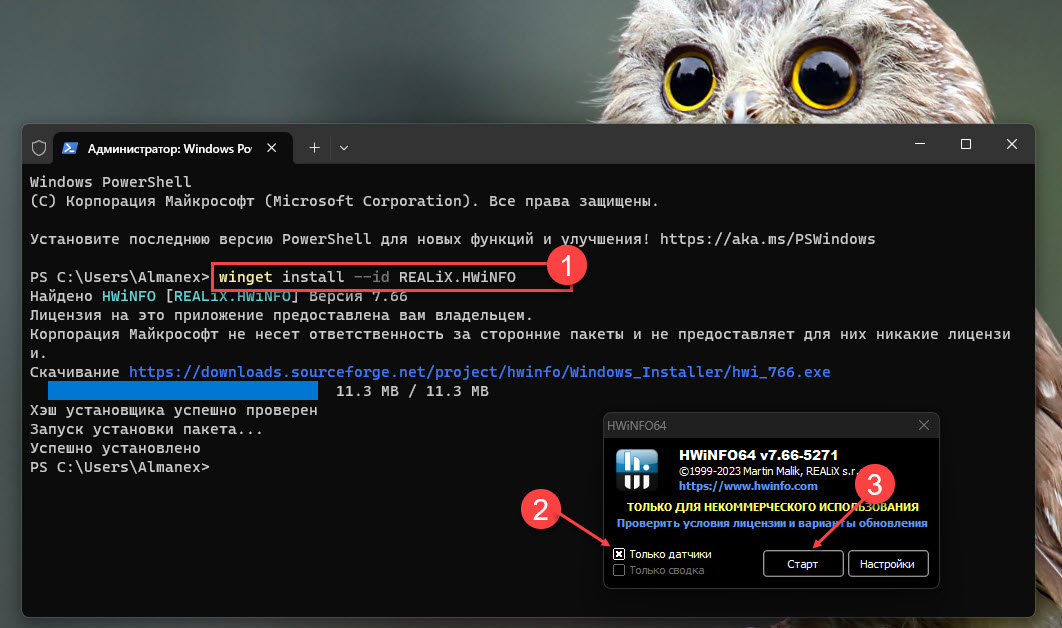 Введите следующую команду для установки HWiNFO и нажмите Enter: