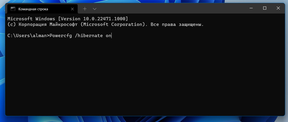 Включить / отключить функцию Гибернацию в Windows 11 \10