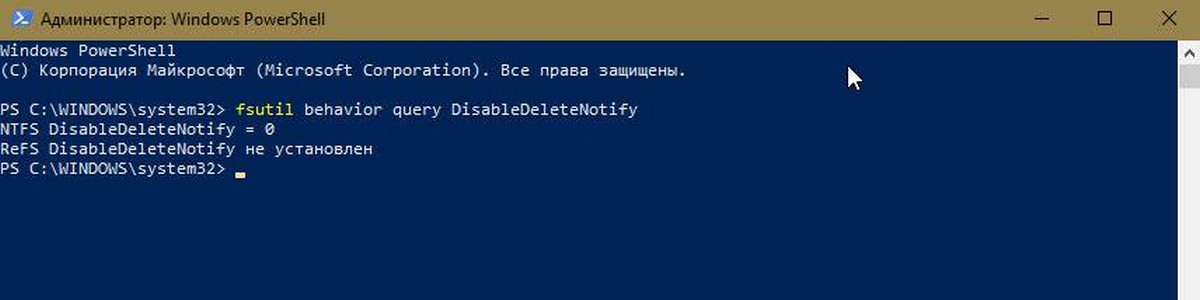 TRIM включен в Windows 10