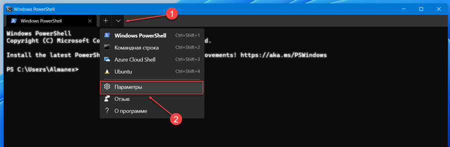 Как открыть параметры терминала Windows
