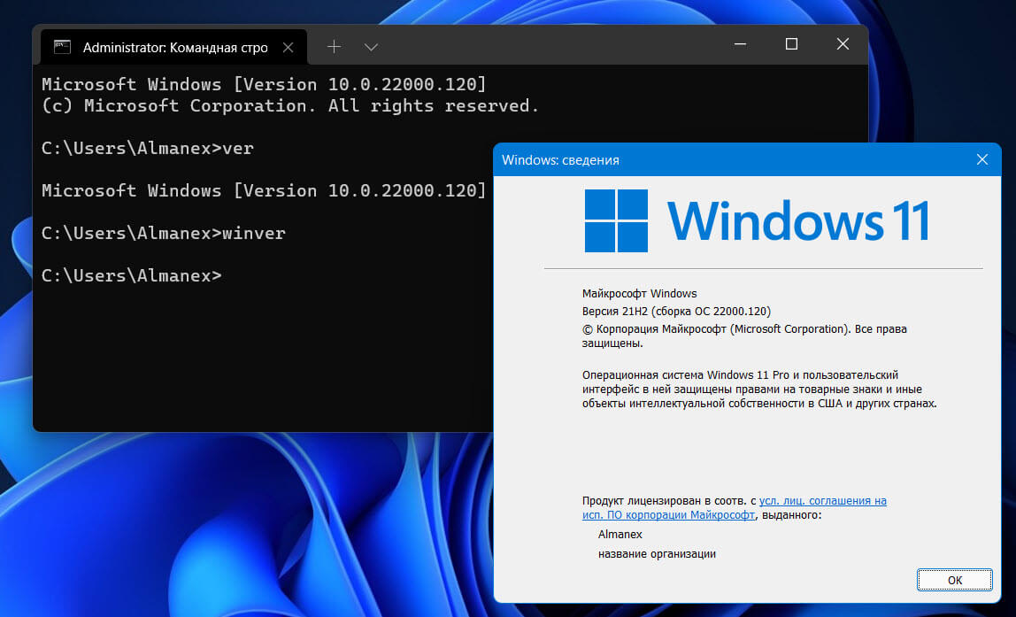 Проверьте версию Windows 11 с помощью Командной строки