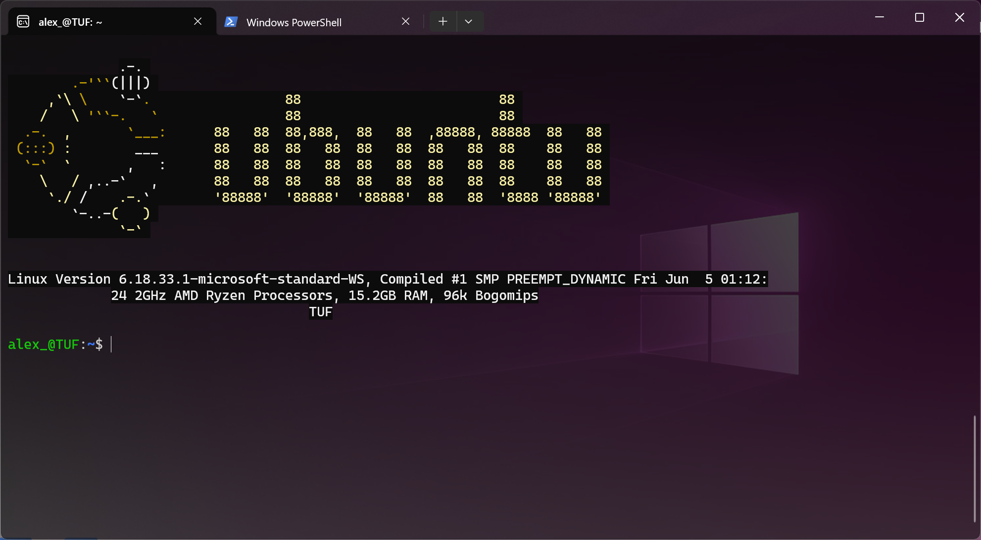 Как посмотреть список установленных дистрибутивов WSL в Windows 11
