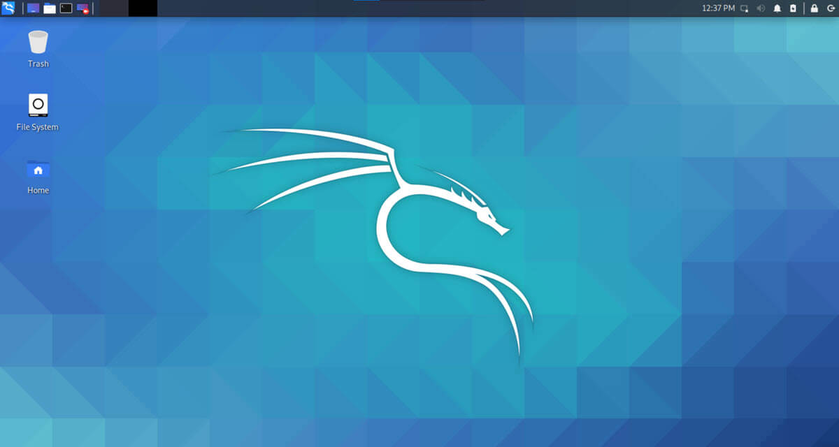вы мгновенно загрузитесь на рабочий стол ОС Kali Linux;