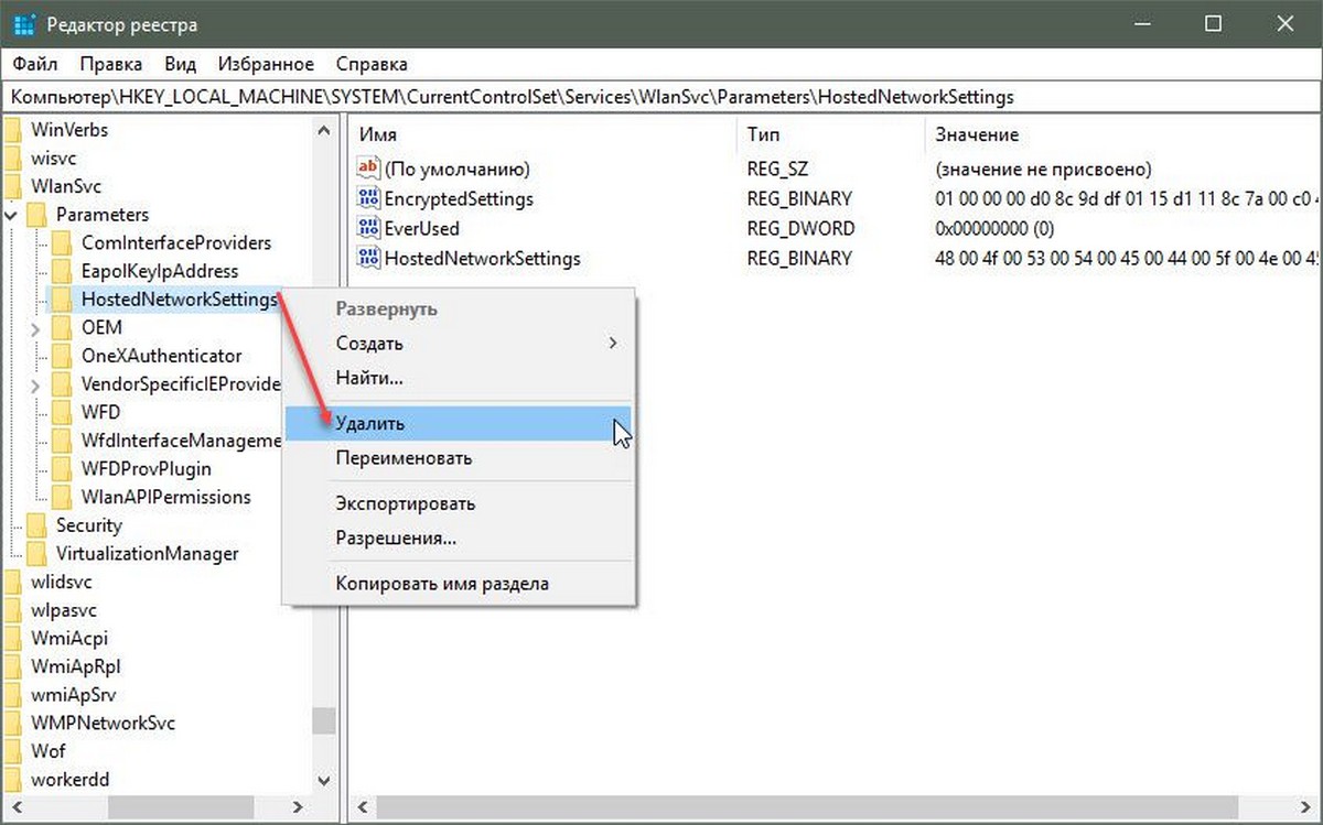 HostedNetworkSettings