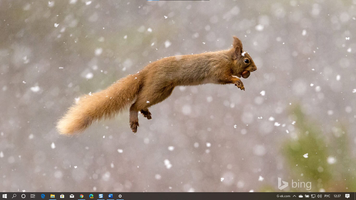 Тема Best of Bing для Windows 10