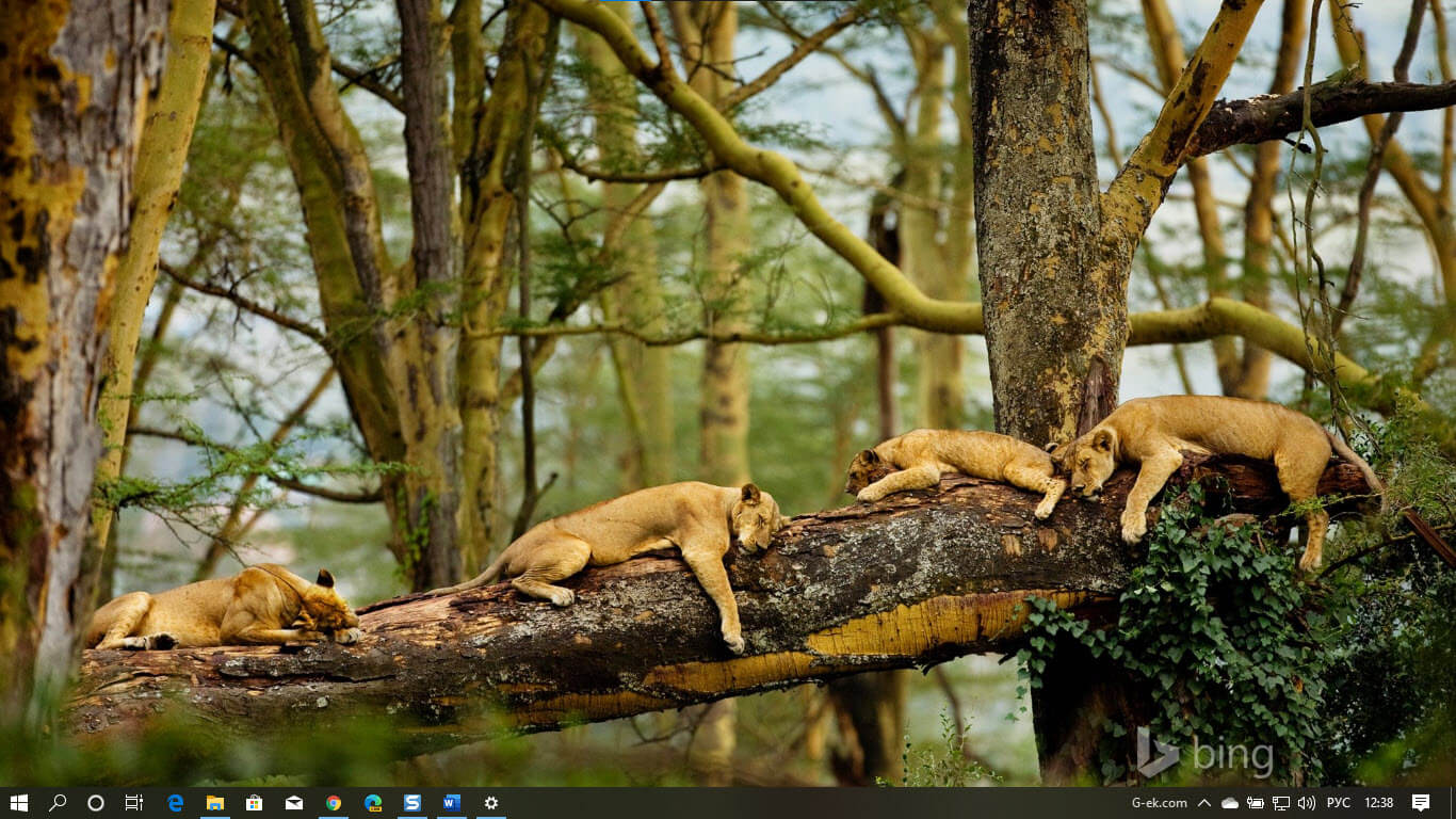Тема Best of Bing для Windows 10